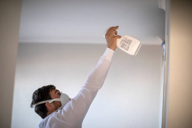 Best Mold Removal Near Me  in Whitehall, MI