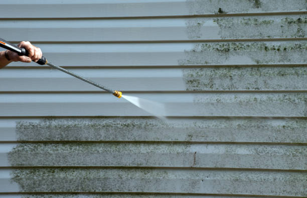 Best Residential Mold Removal  in Whitehall, MI