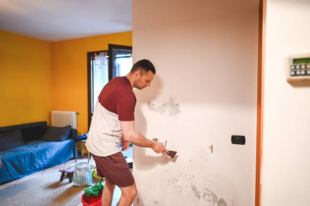 Best Office Mold Removal Services  in Whitehall, MI